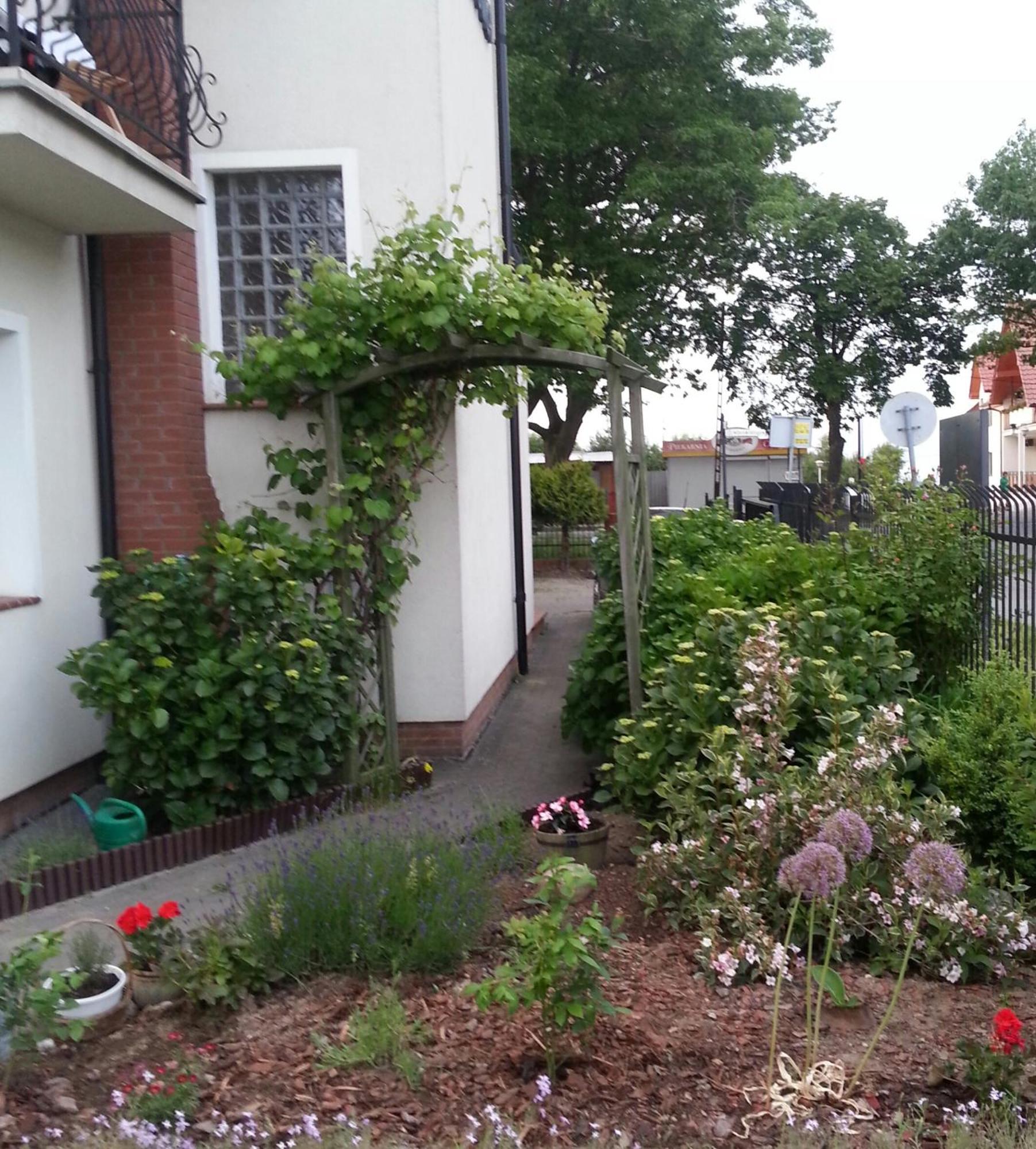 Szafranówka Apartamento Władysławowo Exterior foto